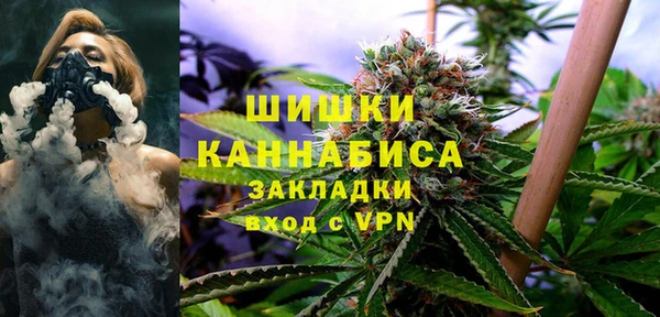 гидра Белокуриха