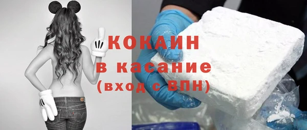 гидра Белокуриха