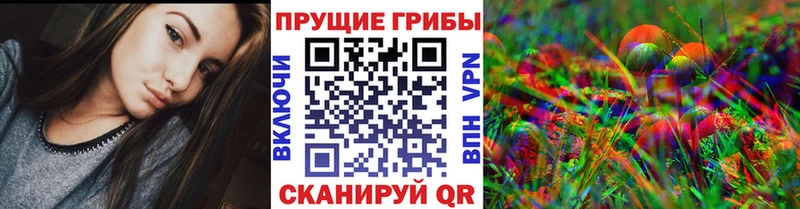 купить наркотик  Курильск  Псилоцибиновые грибы ЛСД 