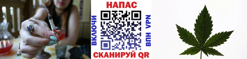 Шишки марихуана Bruce Banner  Курильск 
